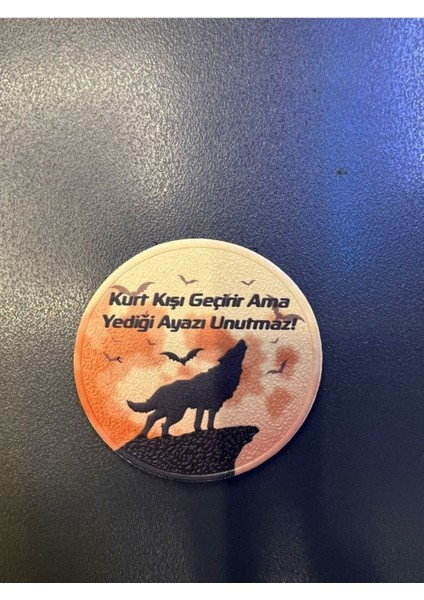 ''kurt Kışı Geçirir Ama Yediği Ayazı Unutmaz" Yazılı Patch 7 cm 3D Plastik, 2025 Yeni Tip, Cırtlı,
