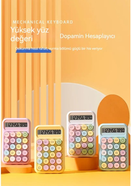 10 Haneli Hesap Makinesi LCD Ekranlı Mekanik Hesap Makinesi indirimleri