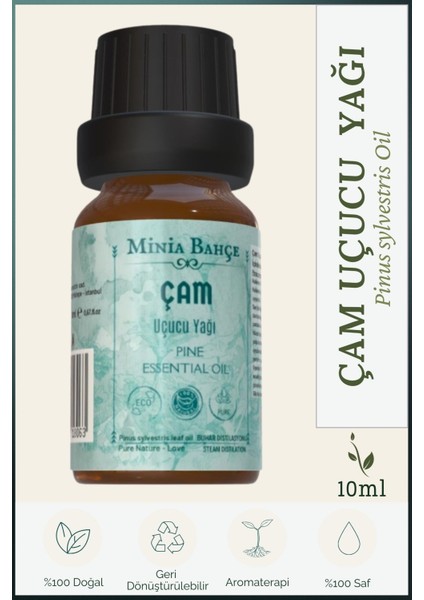 Çam Ağacı Uçucu Yağı, %100 Saf, 10 ml