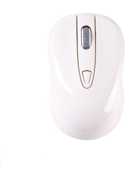 Tm-11 Ergonomik Kablosuz Optik Mouse