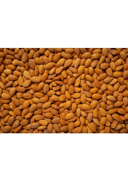 İslimli Kayısı Çekirdeği 1 kg (Tatlı & Kavrulmamış)