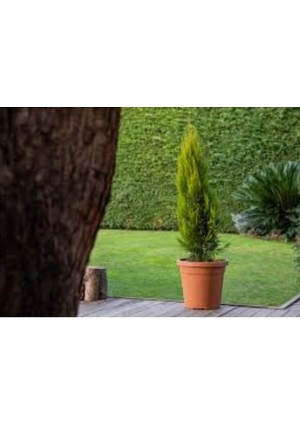 So-Vhs5 Dekoratif Vaha Saksı Iç ve Dış Mekan 14 Lt Kiremit 6 Adet modelleri