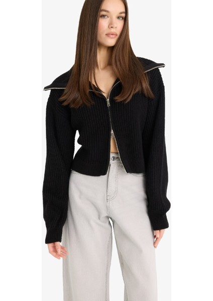 Slim Fit Dar Kesim Polo Yaka Fermuarlı Triko Hırka A3333AX25WN modelleri