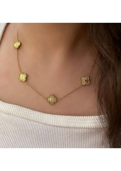 Günlük Gold Çelik Takı Seti fiyatları