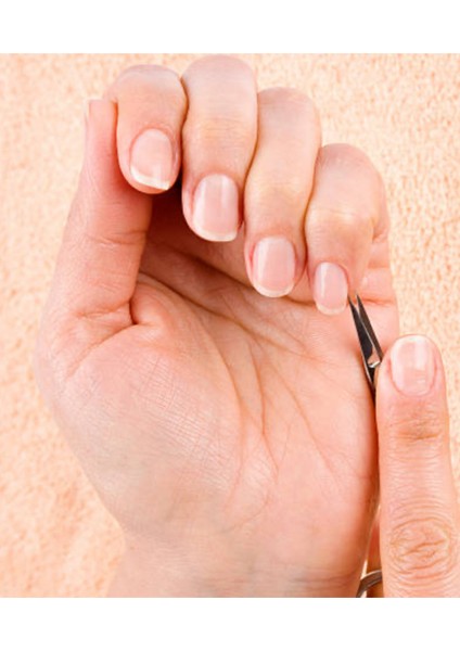 Paslanmaz Çelik Tırnak Eti Makası indirimleri