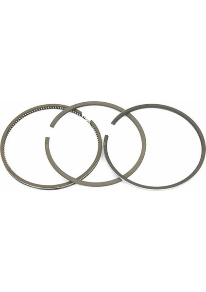 1909172 Std. Seg. Tek Pıston 100MM.