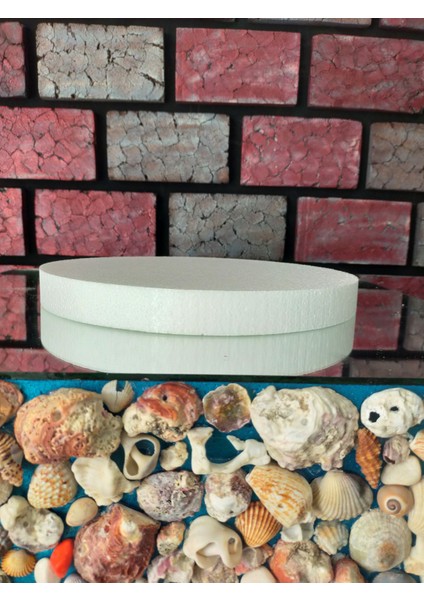 Strafor Pasta Altı-Tepsisi 30CM 3cm Kalınlık fiyatları