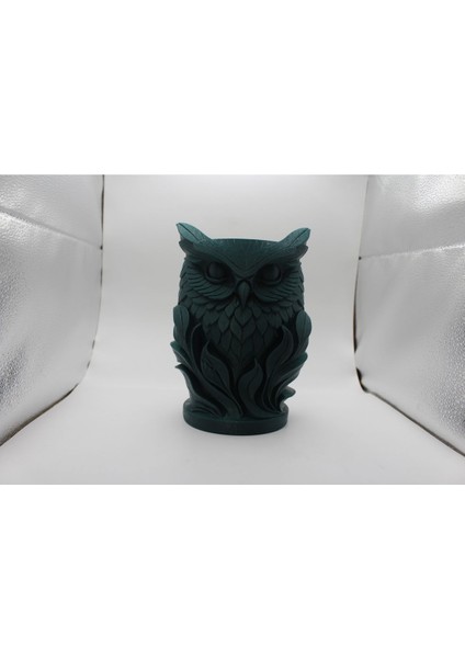 3D Bilge Baykuş VAZO-220 fiyatları