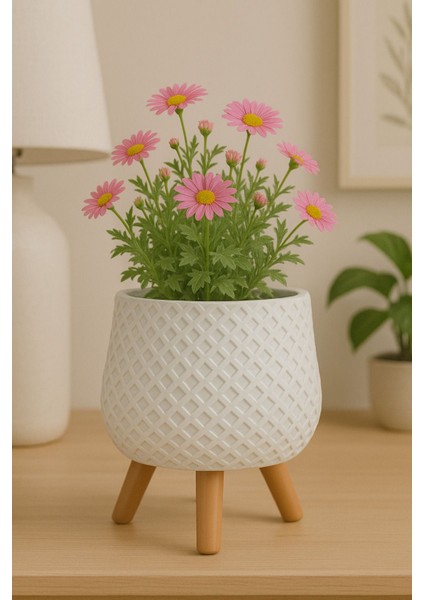 3D Ayaklı Spiral SAKSI-210