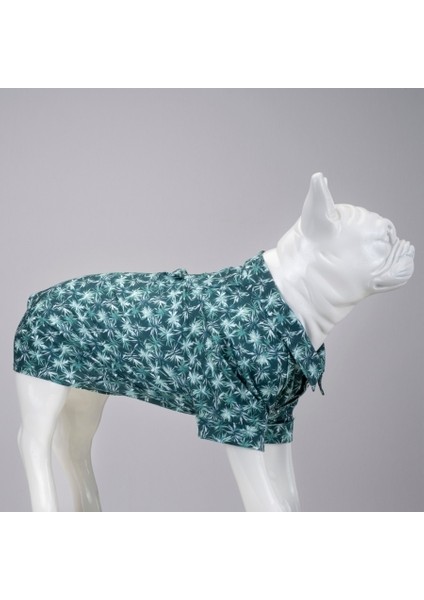 Havana Küçük ve Orta Irk Köpek Gömleği modelleri