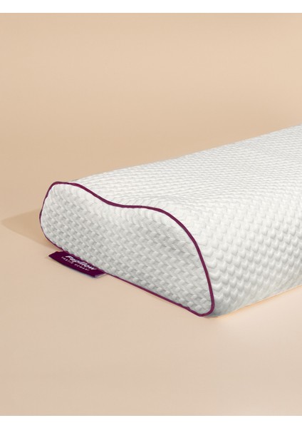Papıllow Innovation Layla Pure Lateks S Yastık 60*40*11/10 fiyatları