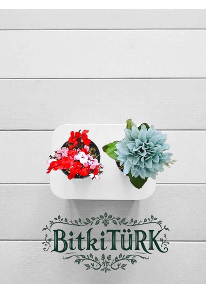 - 2li Seramik Saksıda Yapay Çiçek Seti Ofis Cafe Salon fiyatları