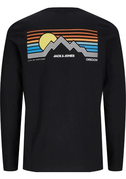 Jack & Jones 12270484 Ince Sweatshırt fiyatları