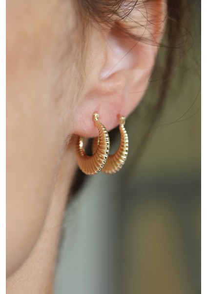 14 Ayar Altın Midye Küpe