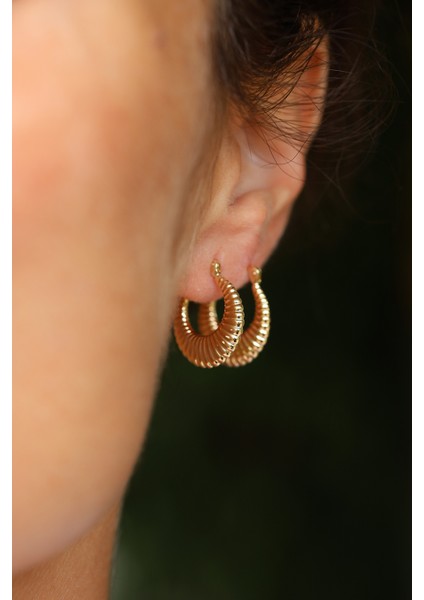 14 Ayar Altın Midye Küpe fiyatları