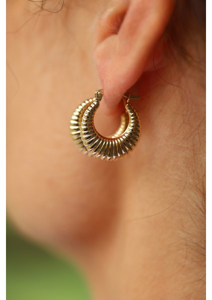 14 Ayar Altın Midye Küpe modelleri