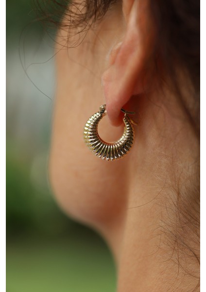 14 Ayar Altın Midye Küpe fırsatları