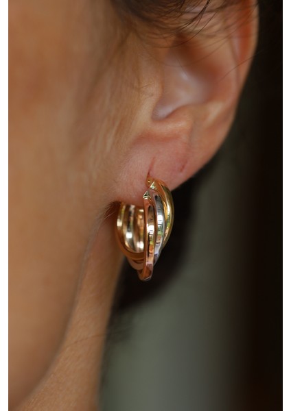 14 Ayar Altın Iç Içe Kalın Halkalar Sarmalı Üç Renk Küpe fiyatları