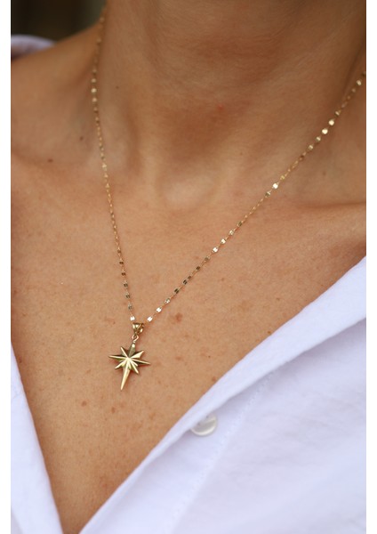 14 Ayar Altın Aynalı Zincirli Bombeli Yuvarlak Kenar Detaylı Kutup Yıldızı Kolye-2 fiyatları