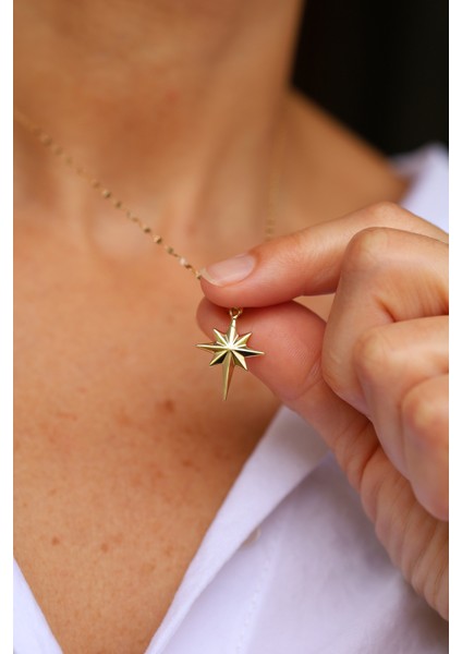 14 Ayar Altın Aynalı Zincirli Bombeli Yuvarlak Kenar Detaylı Kutup Yıldızı Kolye-2 indirimleri