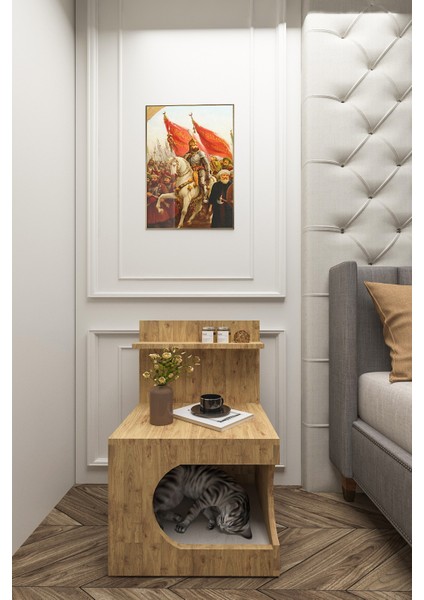 Kedi Evi Komodin,pet Komodin,yıkanabilir Minderli,portatif Minifix Kurulum