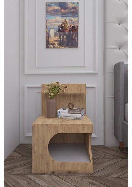 Kedi Evi Komodin,pet Komodin,yıkanabilir Minderli,portatif Minifix Kurulum modelleri