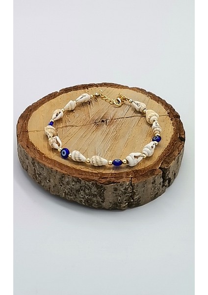 Deniz Kabuğu Lüks Hal Hal