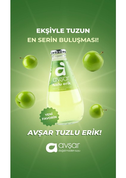 Tuzlu Erik Aromalı Maden Suyu 6 x 200 ml