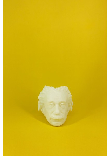 Albert Eınsteın Kalemlik Dekoratif Kalemlik Hediyelik Masaüstü Kalemlik modelleri