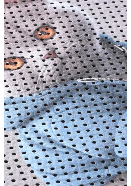 Pati Kedi Kumu Matı Çift Katlı Sıvı Geçirmez Kaymaz Elekli Yıkanabilir Kedi Tuvaleti Paspası 40X60CM fırsatları