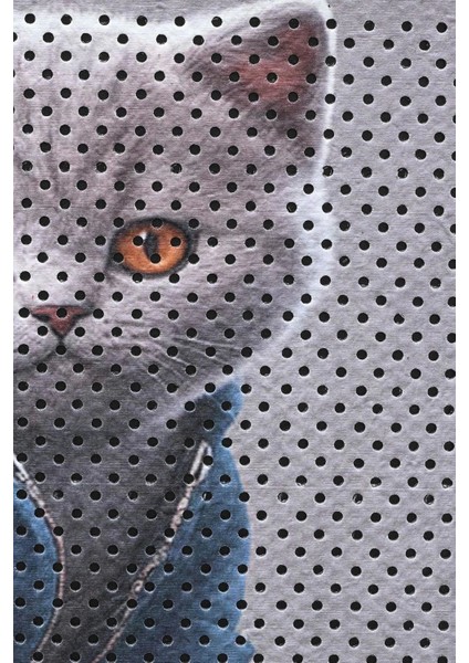 Pati Kedi Kumu Matı Çift Katlı Sıvı Geçirmez Kaymaz Elekli Yıkanabilir Kedi Tuvaleti Paspası 40X60CM indirimleri