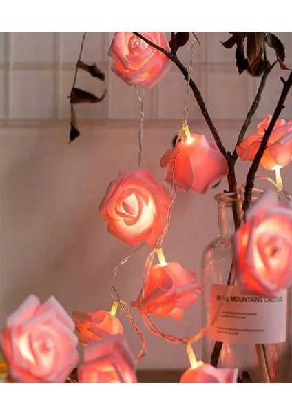 2,5 Metre Gül Tasarım Dekoratif Işık Zinciri 20 Adet Gül Romantik Gül LED Işık Pembe modelleri