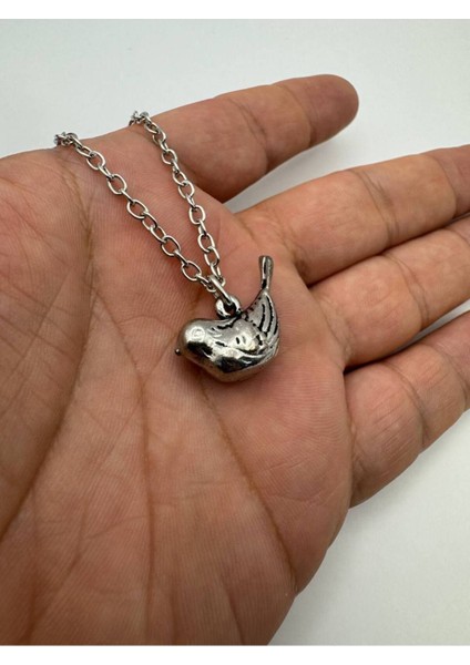 Serçe Kuş Desen Kuş Kolyesi – Metal Zincirli Zarif Unisex Takı