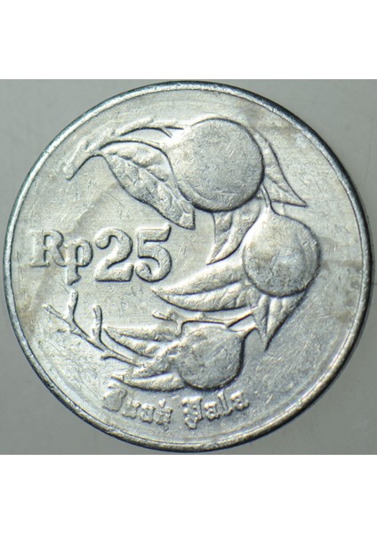 Endonezya 25 Rupiah 1996. fiyatları