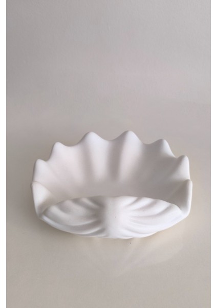 Büyük Boy Midye Deniz Kabuğu Takı Organizeri Dekoratif Beton El Yapımı Takılık modelleri