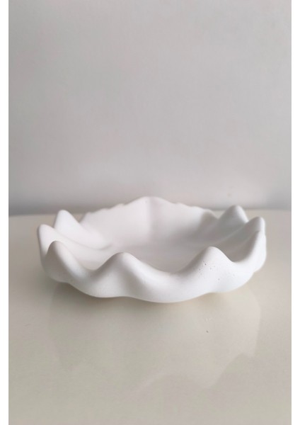 Büyük Boy Midye Deniz Kabuğu Takı Organizeri Dekoratif Beton El Yapımı Takılık indirimleri