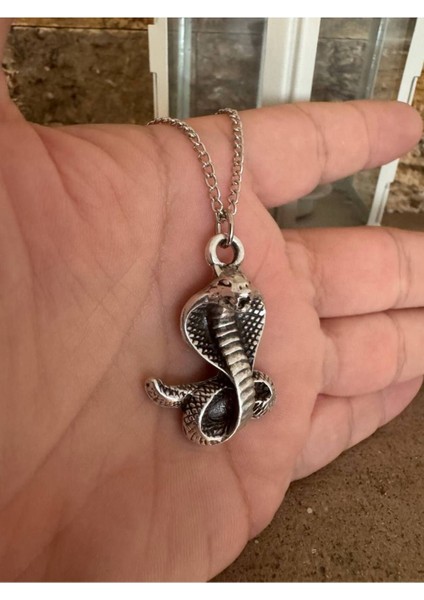 Kobra Desen Unisex Kolye – Metal Zincirli, Güç ve Koruma Temalı Tasarım