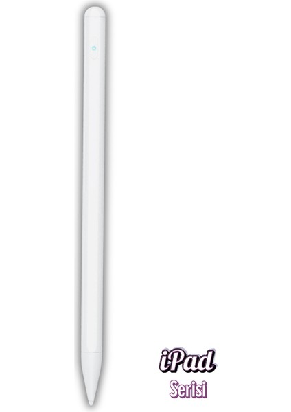 iPad Avuçiçi Algılamayan 1. Nesil Özellikli Elma Tablet Kalemi