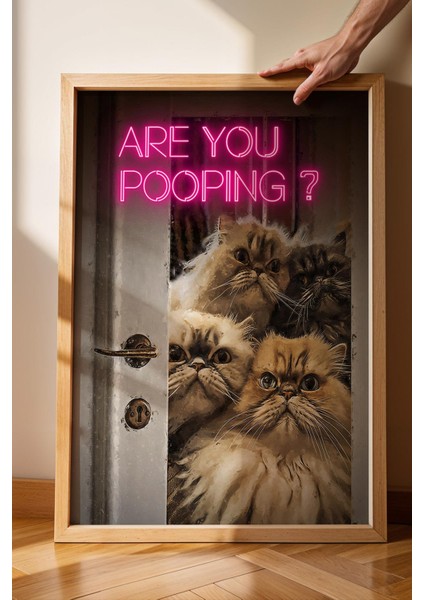 Are You Pooping Kediler Çerçeveli Tablo - Wc Tuvalet Için Tablo