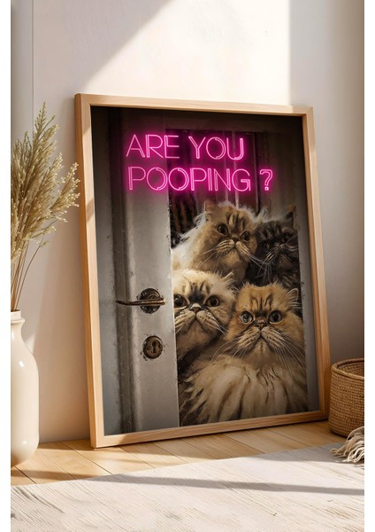 Are You Pooping Kediler Çerçeveli Tablo - Wc Tuvalet Için Tablo fiyatları