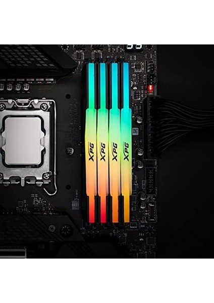 Adata Lancer Rgb 32GB Ddr5 6000MHZ Ram - CL30, 1.35V, Siyah fiyatları