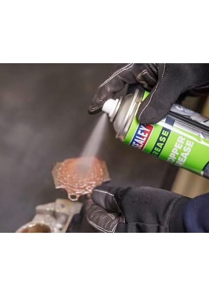 Bakır Gres Yağlayıcı 500ML fiyatları