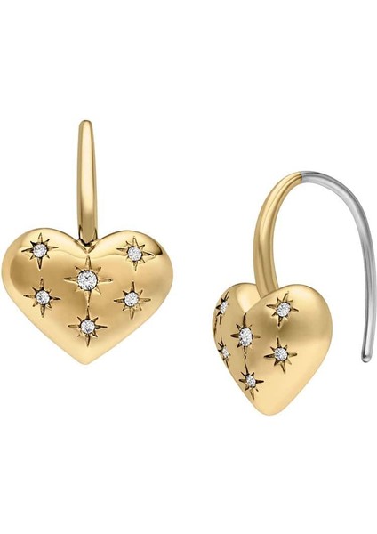 JF04833-710 Kalpli Kadın Küpe