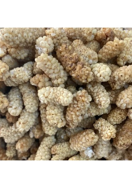 Ulukale Dut Kurusu Ufak Taneli