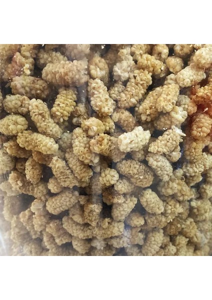 Ulukale Dut Kurusu Ufak Taneli fiyatları