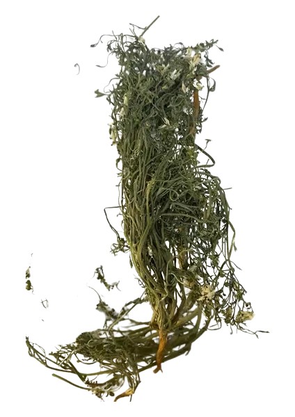 Şahtere Otu 30 gr fiyatları