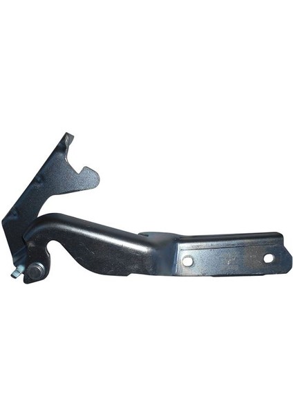 BRUCK7799620R - Kaput Menteşesi Sağ Palıo Sıena Albea