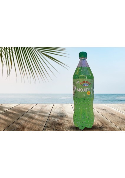 Nane ve Misket Limonlu Gazlı içeceği Mojito - Mohito - Мохито ( 1 lt x 6 Adet ) fiyatları