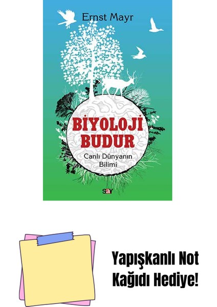 Biyoloji Budur + Yapışkanlı Not Kağıdı