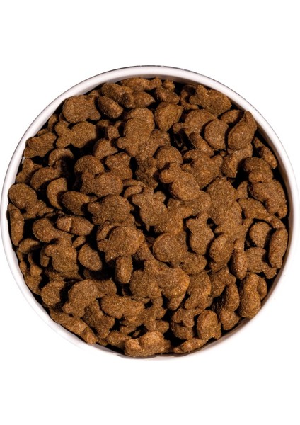 4 kg Balıklı Classic Adult Köpek Maması fırsatları